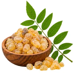 {{OFFER_NAME}} — Boswellia serrata in the composition
