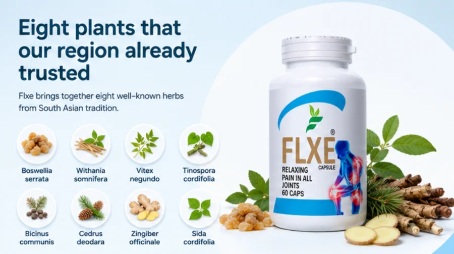 {{OFFER_NAME}} — the eight herbal ingredients of the formula