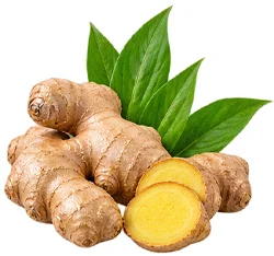 {{OFFER_NAME}} — Zingiber officinale in the composition